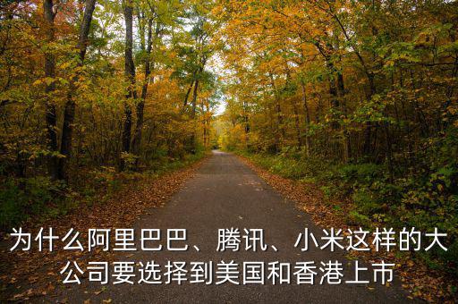 為什么阿里巴巴、騰訊、小米這樣的大公司要選擇到美國(guó)和香港上市