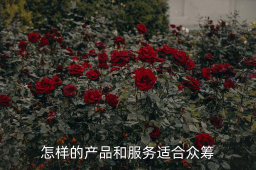 什么價位的產品適合眾籌,網上的眾籌的產品靠譜嗎