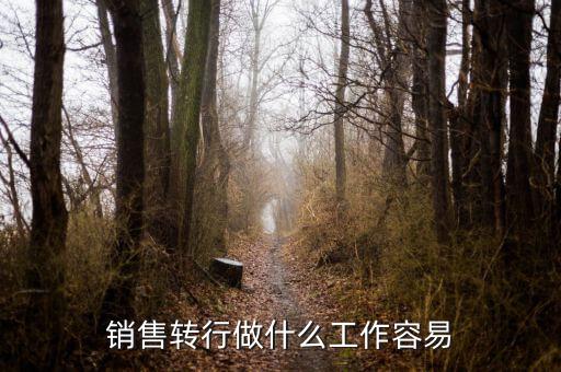 銷(xiāo)售轉(zhuǎn)行做什么工作容易