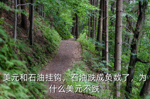 美元和石油掛鉤，石油跌成負(fù)數(shù)了，為什么美元不跌
