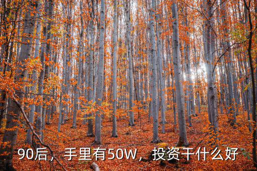 90后，手里有50W，投資干什么好