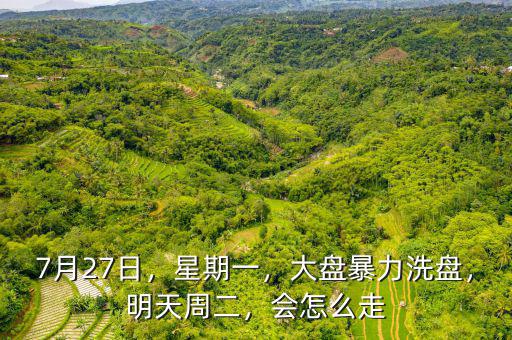 7月27日，星期一，大盤暴力洗盤，明天周二，會怎么走