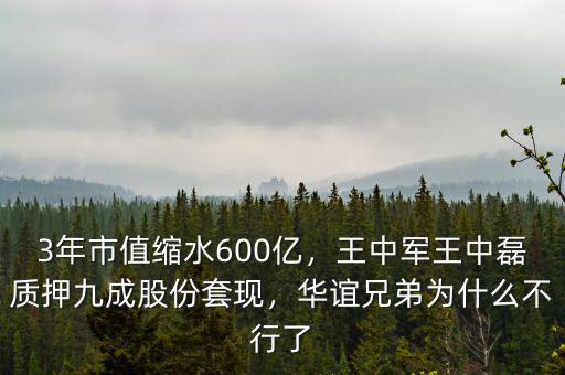 3年市值縮水600億，王中軍王中磊質(zhì)押九成股份套現(xiàn)，華誼兄弟為什么不行了