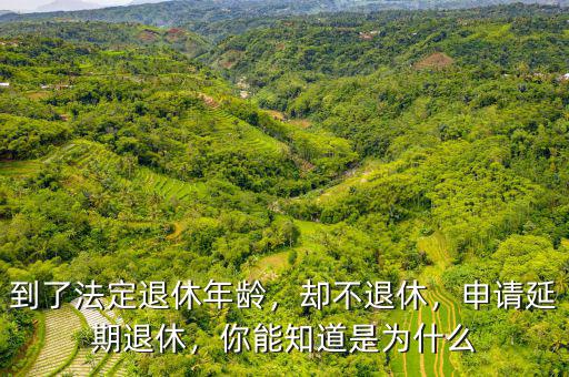 到了法定退休年齡，卻不退休，申請(qǐng)延期退休，你能知道是為什么