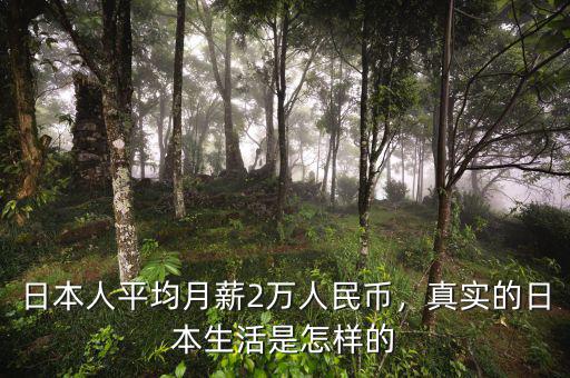日本人平均月薪2萬人民幣，真實(shí)的日本生活是怎樣的