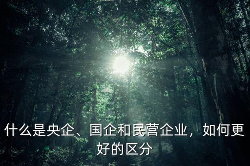 什么是央企、國企和民營企業(yè)，如何更好的區(qū)分