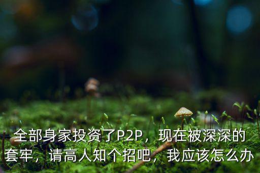 全部身家投資了P2P，現(xiàn)在被深深的套牢，請高人知個招吧，我應該怎么辦