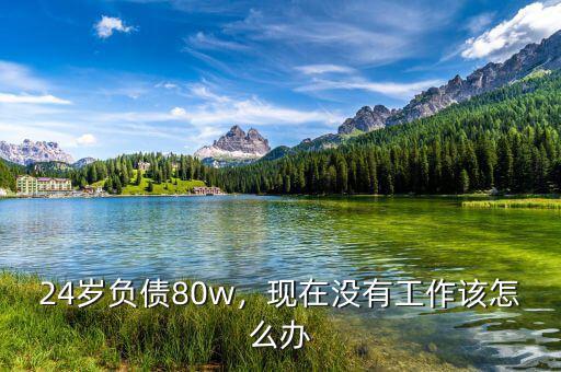 24歲負債80w，現(xiàn)在沒有工作該怎么辦