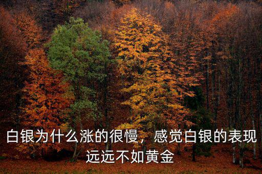 白銀為什么漲的很慢，感覺(jué)白銀的表現(xiàn)遠(yuǎn)遠(yuǎn)不如黃金