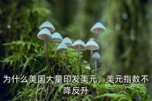 為什么美國大量印發(fā)美元，美元指數(shù)不降反升