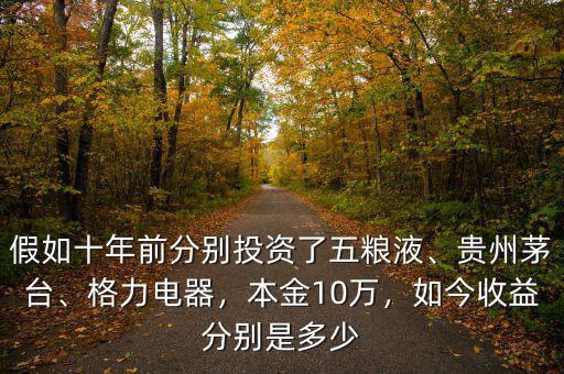 假如十年前分別投資了五糧液、貴州茅臺、格力電器，本金10萬，如今收益分別是多少
