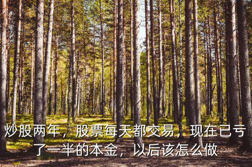 炒股兩年，股票每天都交易，現(xiàn)在已虧了一半的本金，以后該怎么做
