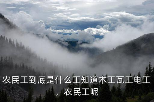 農(nóng)民工到底是什么工知道木工瓦工電工，農(nóng)民工呢