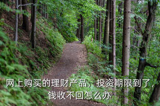 網(wǎng)上購買的理財產(chǎn)品，投資期限到了，錢收不回怎么辦