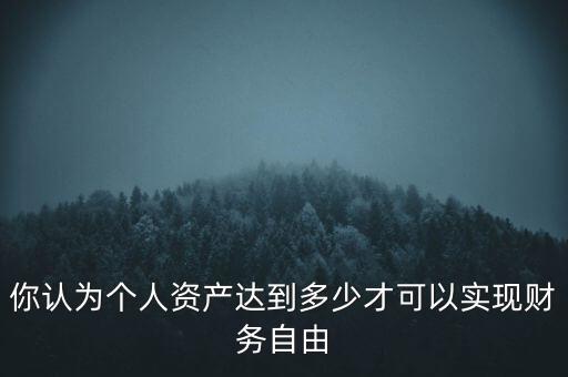 你認為個人資產達到多少才可以實現(xiàn)財務自由