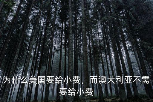為什么美國要給小費(fèi)，而澳大利亞不需要給小費(fèi)