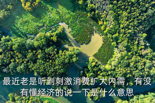 最近老是聽到刺激消費(fèi)擴(kuò)大內(nèi)需，有沒有懂經(jīng)濟(jì)的說一下是什么意思