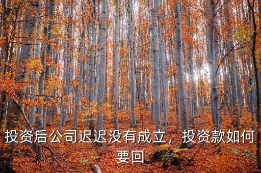 投資后公司遲遲沒有成立，投資款如何要回