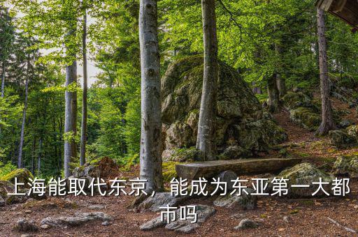 上海能取代東京，能成為東亞第一大都市嗎