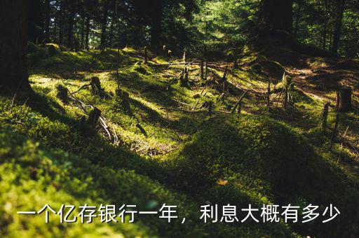 一個(gè)億存銀行一年，利息大概有多少