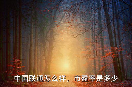 中國(guó)聯(lián)通怎么樣，市盈率是多少