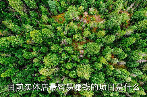 目前實(shí)體店最容易賺錢(qián)的項(xiàng)目是什么
