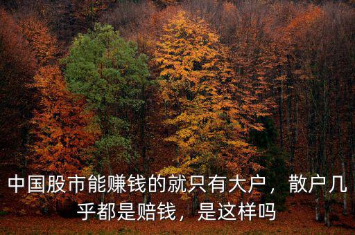 中國股市能賺錢的就只有大戶，散戶幾乎都是賠錢，是這樣嗎