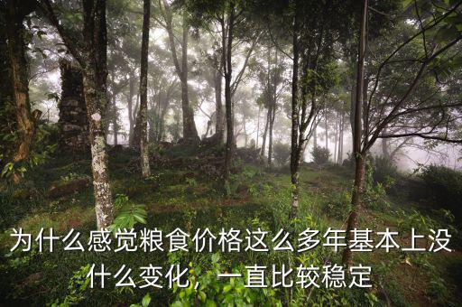 為什么感覺糧食價(jià)格這么多年基本上沒什么變化，一直比較穩(wěn)定