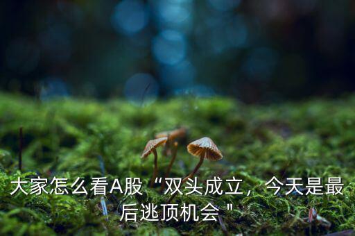 大家怎么看A股“雙頭成立，今天是最后逃頂機(jī)會＂