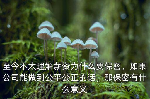 至今不太理解薪資為什么要保密，如果公司能做到公平公正的話，那保密有什么意義