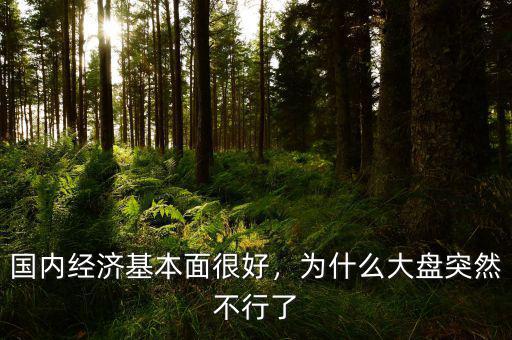 國內(nèi)經(jīng)濟(jì)基本面很好，為什么大盤突然不行了