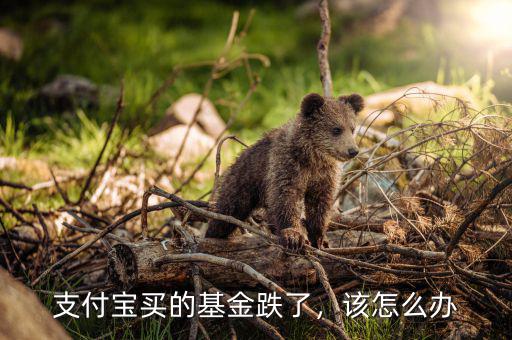 支付寶買的基金跌了，該怎么辦
