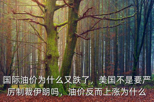 國際油價(jià)為什么又跌了，美國不是要嚴(yán)厲制裁伊朗嗎，油價(jià)反而上漲為什么