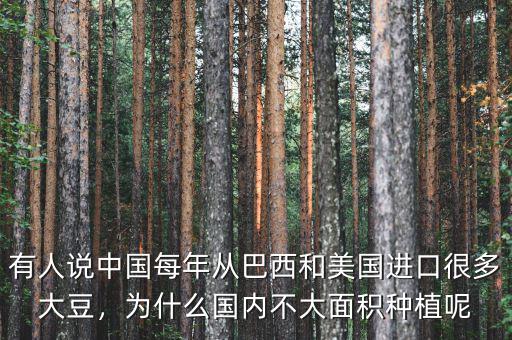 有人說(shuō)中國(guó)每年從巴西和美國(guó)進(jìn)口很多大豆，為什么國(guó)內(nèi)不大面積種植呢