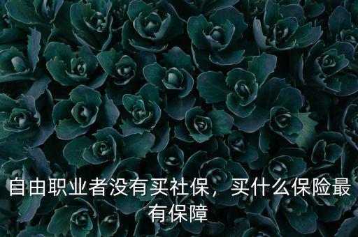 自由職業(yè)者沒有買社保，買什么保險(xiǎn)最有保障