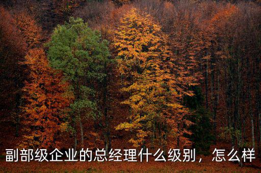 副部級企業(yè)的總經(jīng)理什么級別，怎么樣
