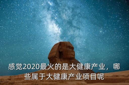 感覺2020最火的是大健康產(chǎn)業(yè)，哪些屬于大健康產(chǎn)業(yè)項目呢