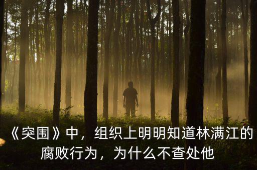 《突圍》中，組織上明明知道林滿江的腐敗行為，為什么不查處他