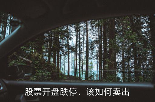 股票開盤跌停，該如何賣出