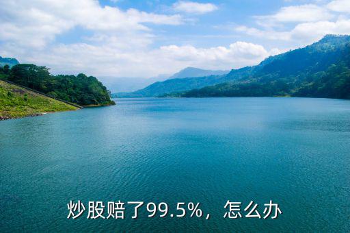 炒股賠了99.5%，怎么辦