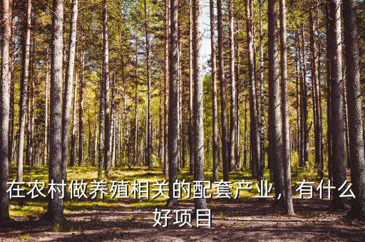 在農(nóng)村做養(yǎng)殖相關(guān)的配套產(chǎn)業(yè)，有什么好項目