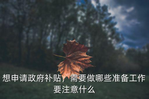 想申請(qǐng)政府補(bǔ)貼，需要做哪些準(zhǔn)備工作要注意什么