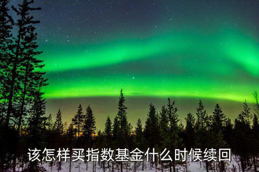 該怎樣買指數基金什么時候續(xù)回