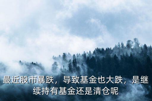 最近股市暴跌，導(dǎo)致基金也大跌，是繼續(xù)持有基金還是清倉呢
