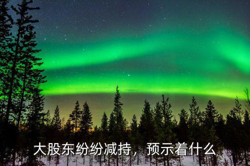 大股東紛紛減持，預(yù)示著什么