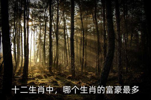 十二生肖中，哪個(gè)生肖的富豪最多
