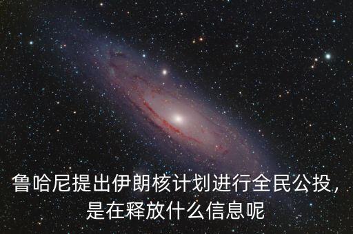 魯哈尼提出伊朗核計劃進行全民公投，是在釋放什么信息呢