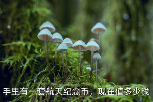 購買航天紀念幣有什么風(fēng)險,航天紀念幣有收藏價值嗎