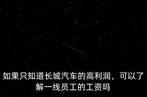 如果只知道長城汽車的高利潤，可以了解一線員工的工資嗎