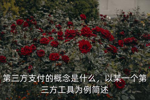 第三方支付的概念是什么，以某一個第三方工具為例簡述